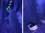 medium A new UVC LED from Bolb for detecting and eliminating germs