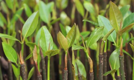 Bulgin commits to Waldom Electronics’ 1 % Sustainability Pledge