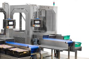 AH Brillopak 1019 Edit Stronger together: How combining technology and industry expertise is delivering pain point busting-automation solutions