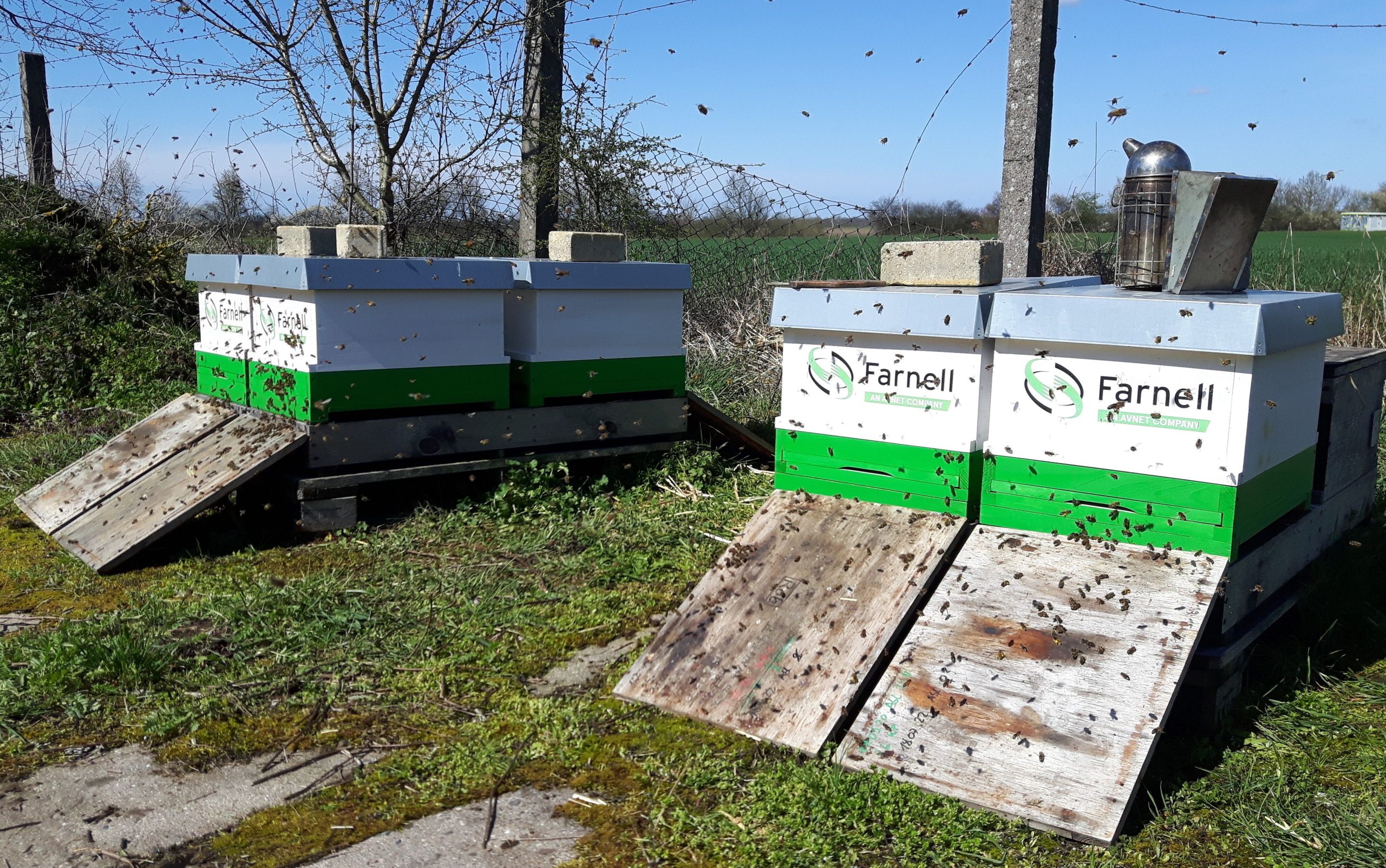 Farnell beehives scaled Farnell launches global campaign to save bees
