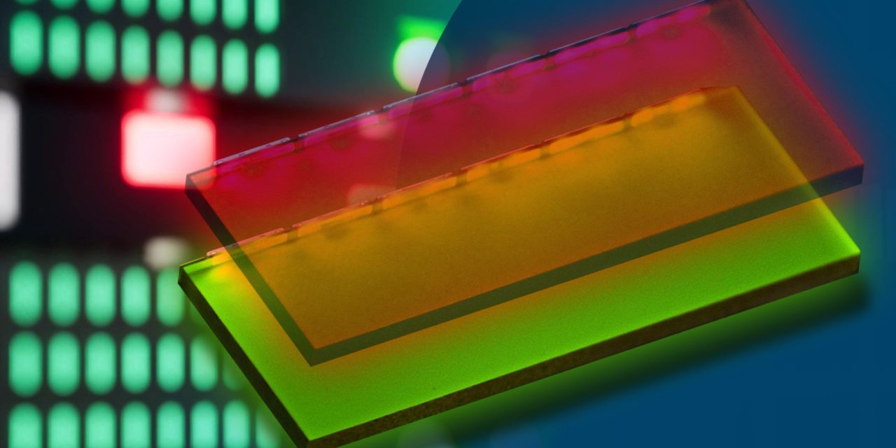 New Dual Status Profiled Backlights™