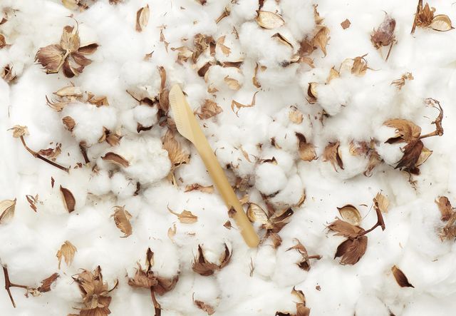 Panasonic Industry presents kinari: a sustainable plastic alternative