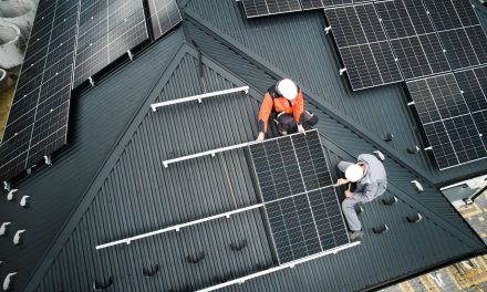 Green skills surge as low-carbon tech rewires UK homes and careers